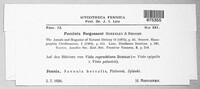 Puccinia fergussonii image